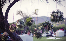 Party sul prato dell'Hotel Hermitage, Isola d'Elba. Party on the grass at Hermitage Hotel, Island of Elba, Italy.